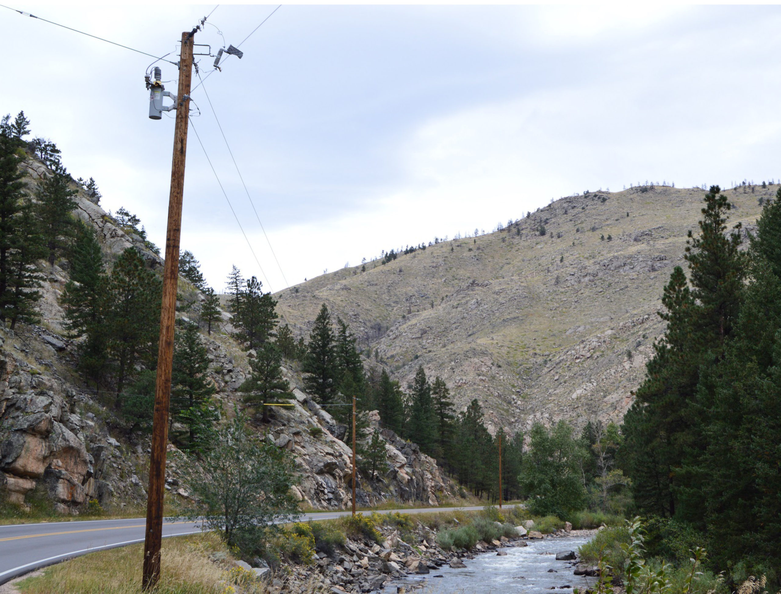 river summer scenic with road