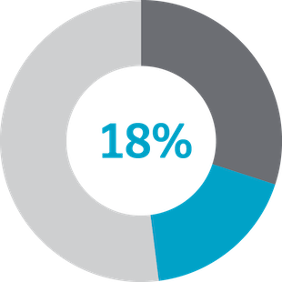 circle graph highlighting 18% section