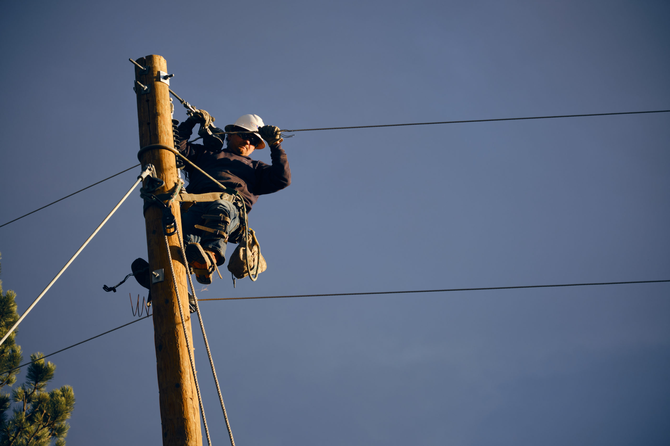 PVREA line worker on pole