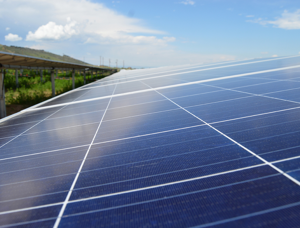 community solar farm