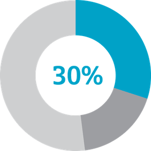 circle graph highlighting 30% section