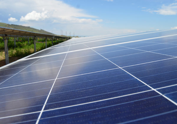 community solar farm