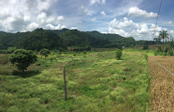 High Up View Of Field In Guatemala