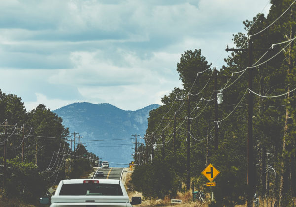 power lines along road ear trees