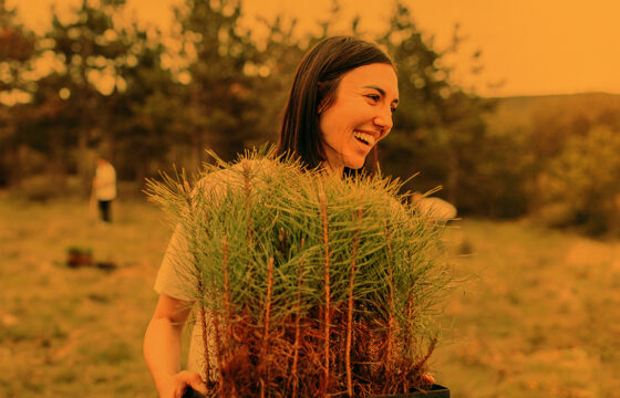 How To Celebrate Arbor Day Safely