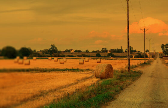 Farm field and power lines